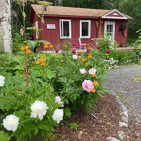 Trapper John'S Cabin & Cottages Talkeetna Exterior photo