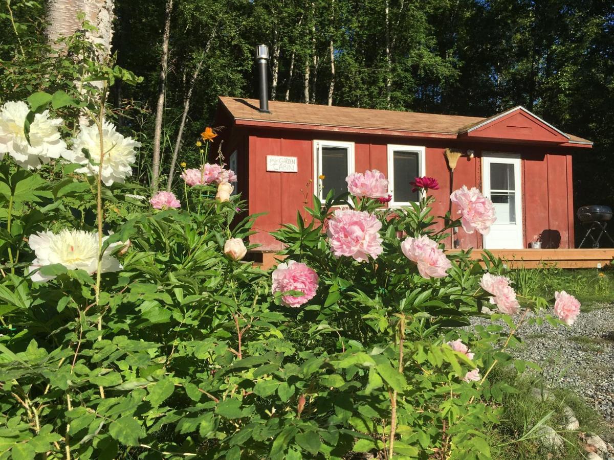 Trapper John'S Cabin & Cottages Talkeetna Exterior photo